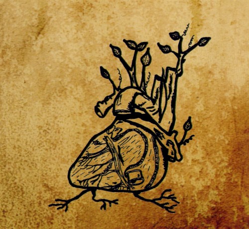 Ephemeral Sun - Harvest Aorta